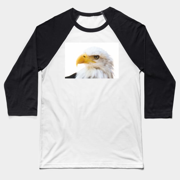 Bald Eagle Baseball T-Shirt by SHWILDLIFE